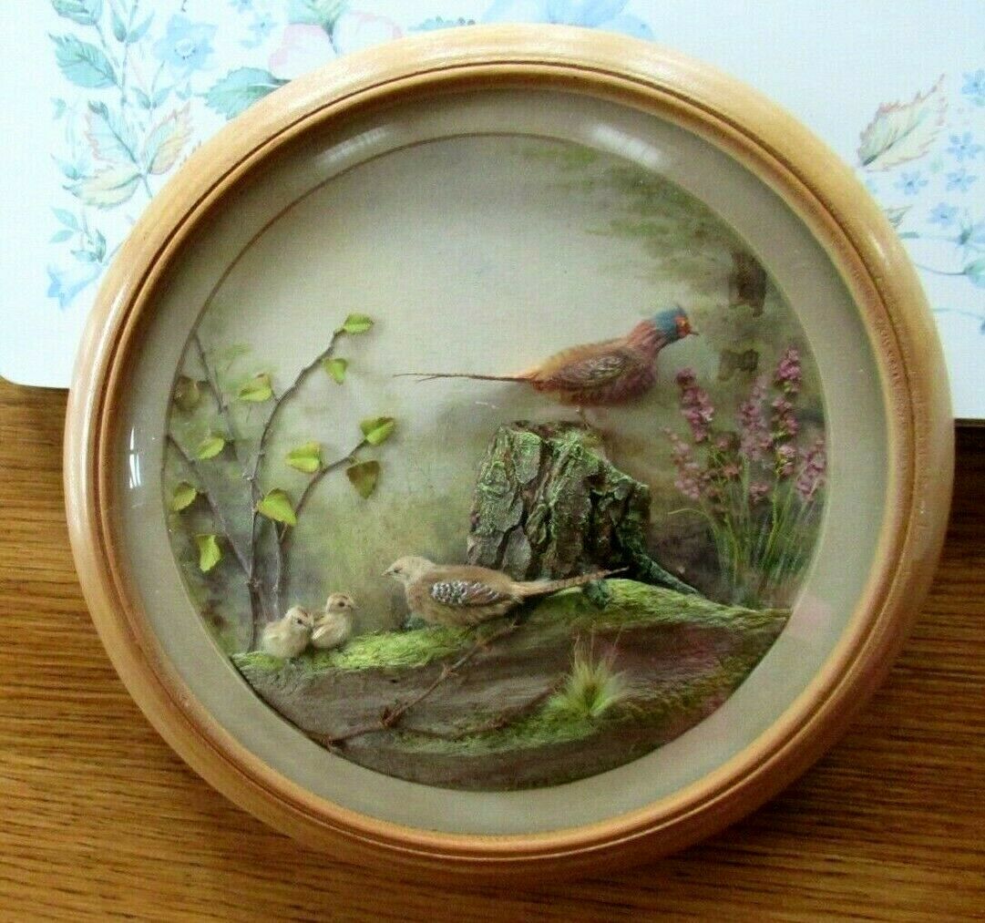 Common Pheasants and Chicks (7-inch)